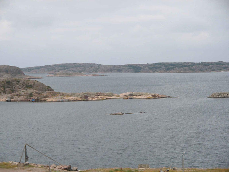 ramsvik25