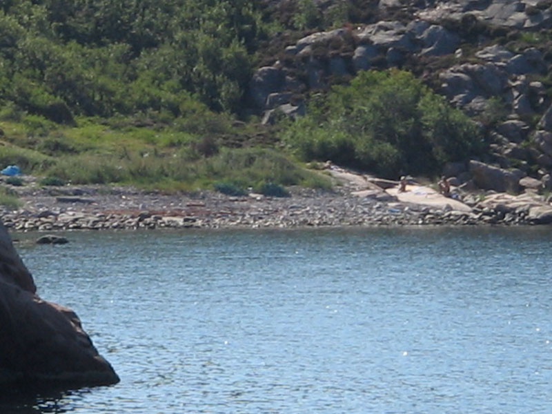Stenvik05