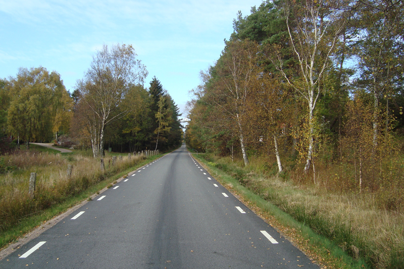 hostn46