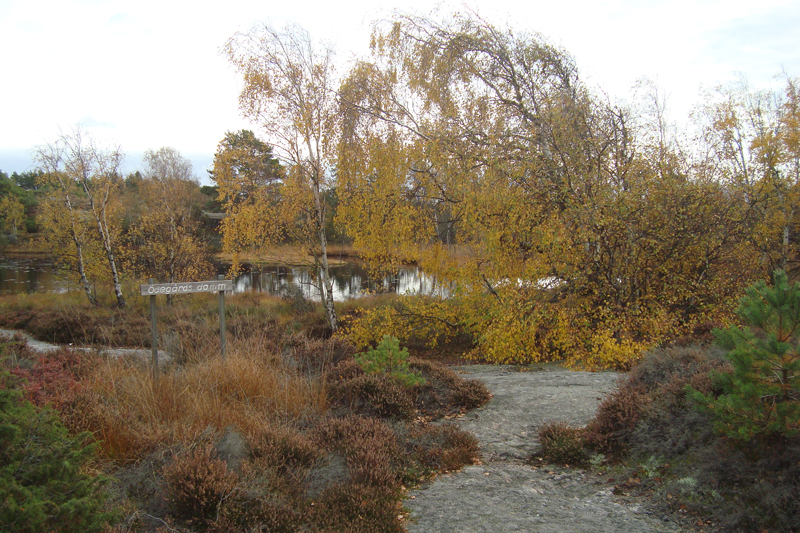 hostn58