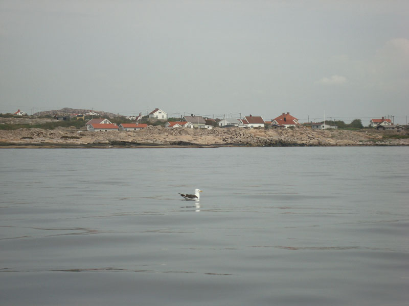 sommar08