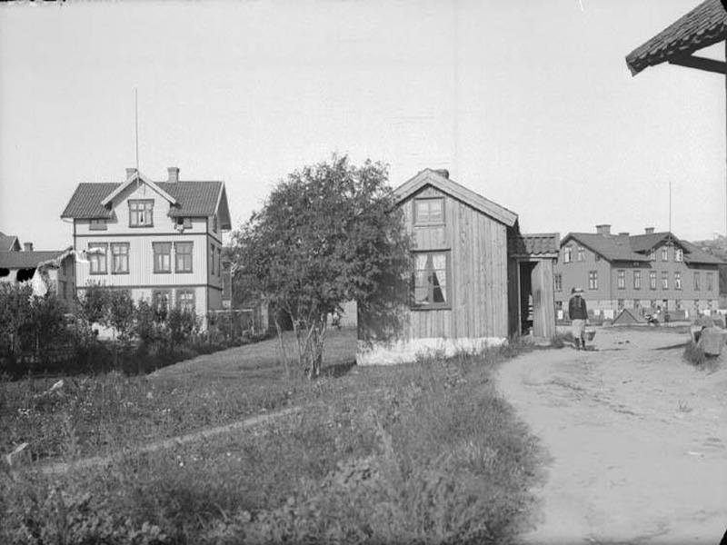 ulfos10